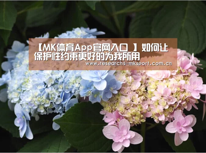  MK体育