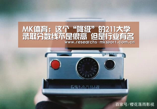 MK体育App官网入口 