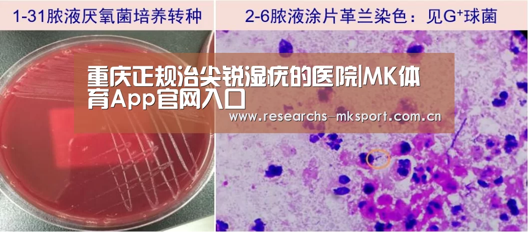  MK体育